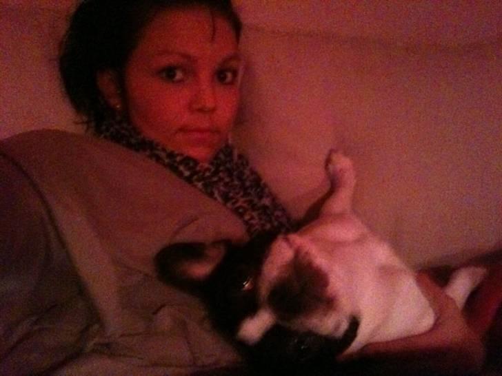 Fransk bulldog Bibbii billede 17