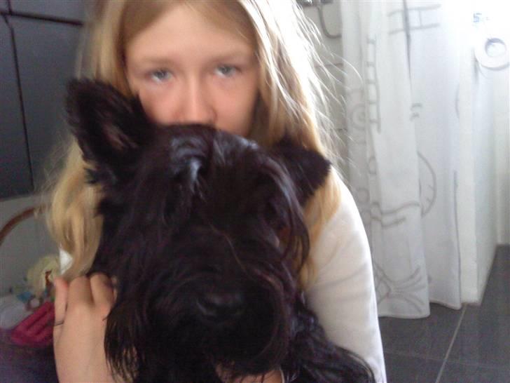 Skotsk terrier Tia* My Dear<3* - Mig og Tisen<3 billede 9