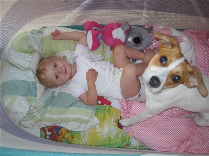 Blanding af racer Luna Sofia - Luna og Liva - Best friends billede 7