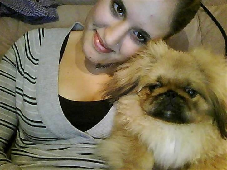 Pekingeser Gigi Aka babyhunden billede 13