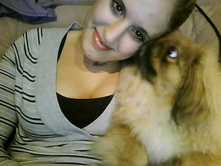 Pekingeser Gigi Aka babyhunden billede 15