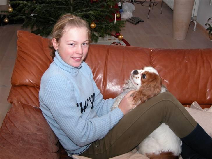 Cavalier king charles spaniel Diego R.I.P ;( billede 12