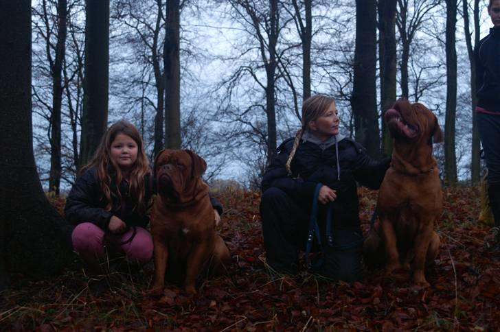 Dogue de bordeaux Ebony - Sasha med Ebony og mig med Simba billede 4