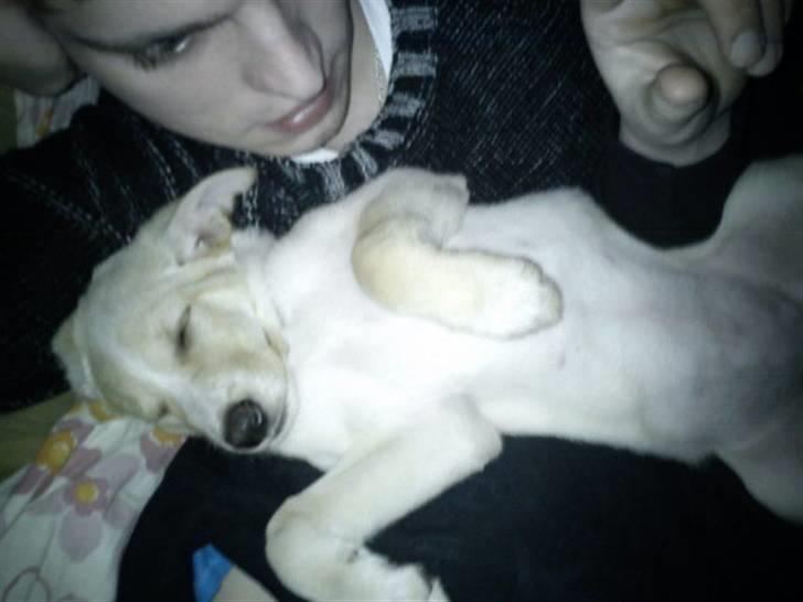 Blanding af racer Luka - Mig og far vi putter lige. billede 11