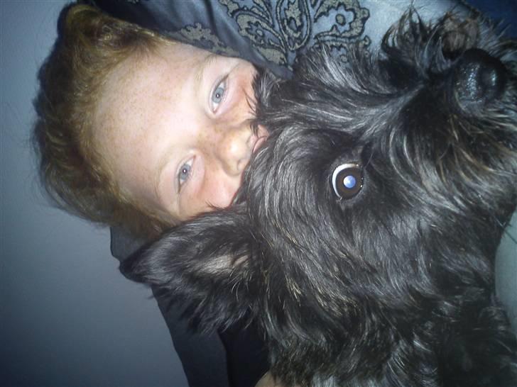 Cairn terrier Luna - Mig og min ejer Kitt :-) billede 2
