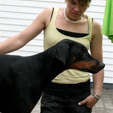 Dobermann *Watchout Diablo*