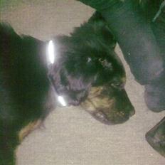 Blanding af racer Cooper