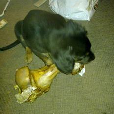 Blanding af racer Cooper