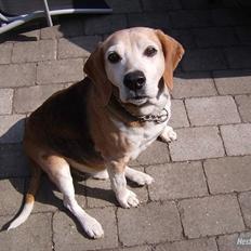 Blanding af racer Tayson<3 †R.I.P†