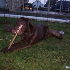 Blanding af racer  Tinka¤Me Soulmate¤