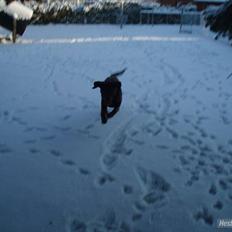 Blanding af racer  Tinka¤Me Soulmate¤