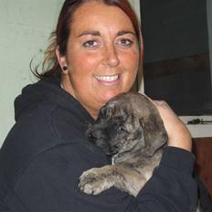 Bullmastiff Karla