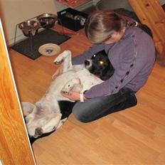 Blanding af racer <3Buster<3