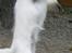 Jack russell terrier Billie *Bils* - leger med gynge 2008