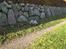 Cairn terrier shadow