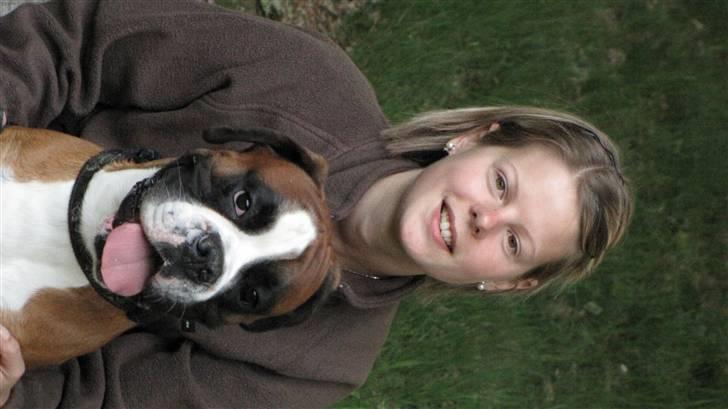 Boxer Lucas billede 16