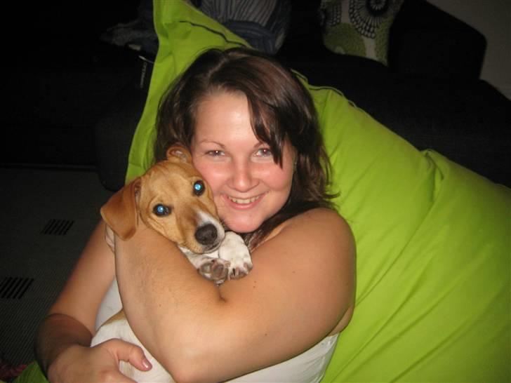 Jack russell terrier Mille billede 9