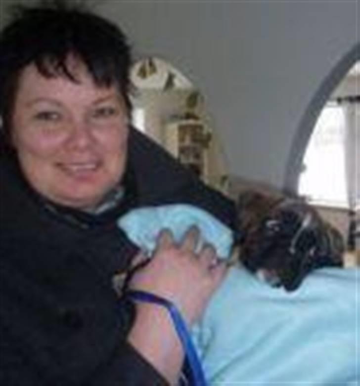 Boxer Djarko billede 9