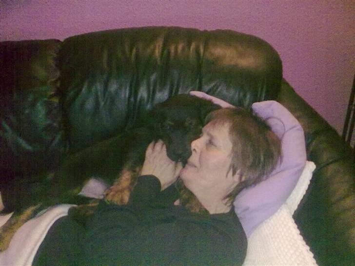 Blanding af racer Cooper - Elsker Bedste billede 9