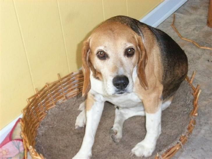 Blanding af racer Tayson<3 †R.I.P† billede 5