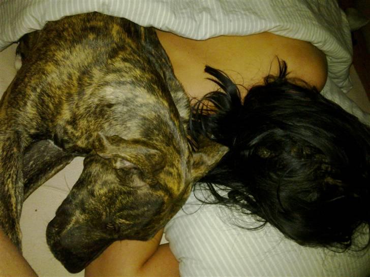 Dogo canario Sera - Mor og Sera der putter :-) billede 6