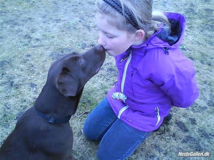 Blanding af racer  Tinka¤Me Soulmate¤ billede 9