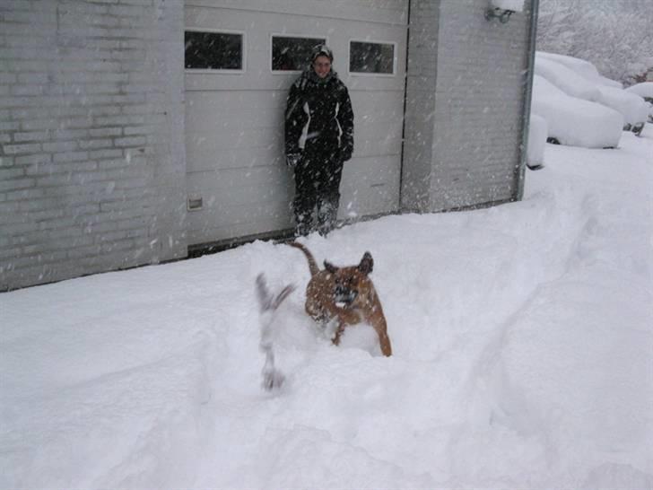 Blanding af racer nuggi <3 billede 6