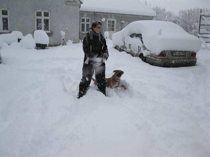 Blanding af racer nuggi <3 billede 8