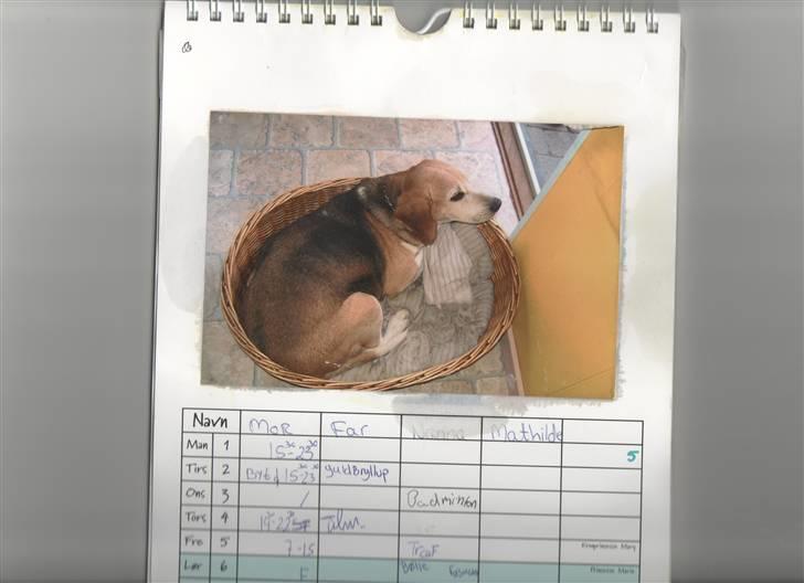 Blanding af racer Tayson<3 †R.I.P† billede 8