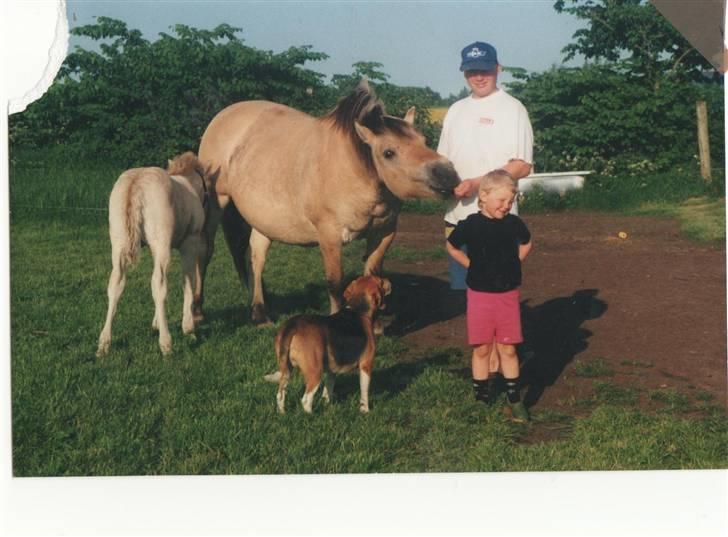 Blanding af racer Tayson<3 †R.I.P† billede 9