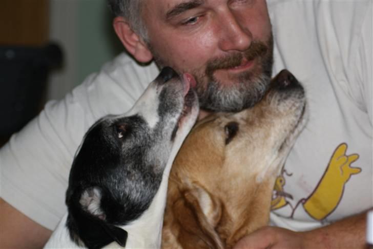 Blanding af racer snuggi billede 14