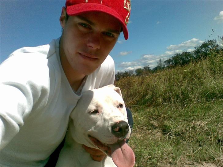 Blanding af racer Diesel billede 15