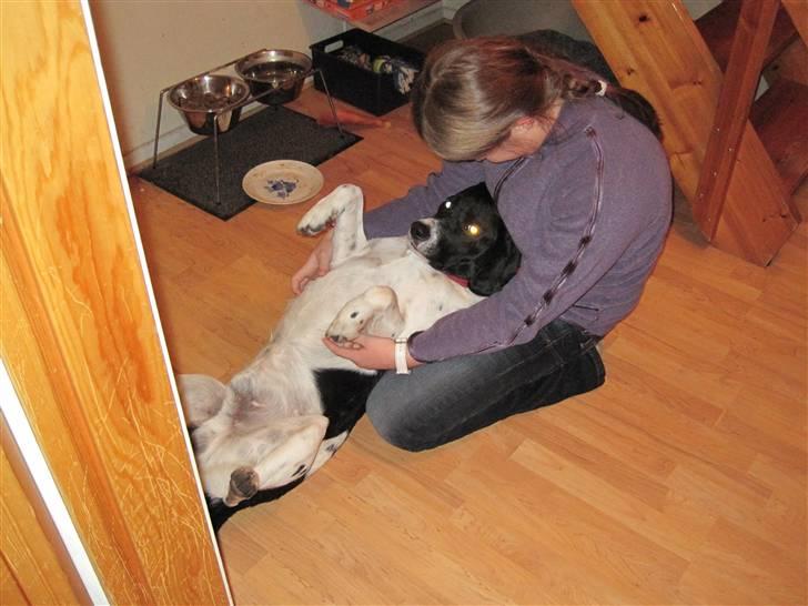 Blanding af racer <3Buster<3 - "Jeg ville gerne vågne op fra drømmene fordi, virkeligheder med dig er bedre" :') billede 3