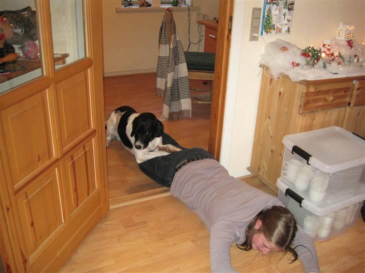 Blanding af racer <3Buster<3 - "To hjerter fyldes med venskab, det ene er dit, det andet er mit"<3 billede 4