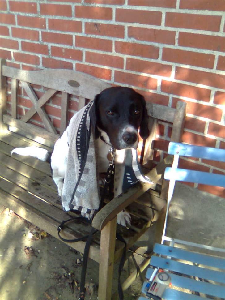 Blanding af racer <3Buster<3 - "Et blik siger mere end 1000 ord" (': billede 5