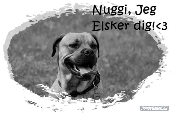 Blanding af racer nuggi <3 billede 20