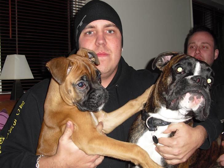 Boxer Nanna - Min far og min bedste ven Bosco billede 9