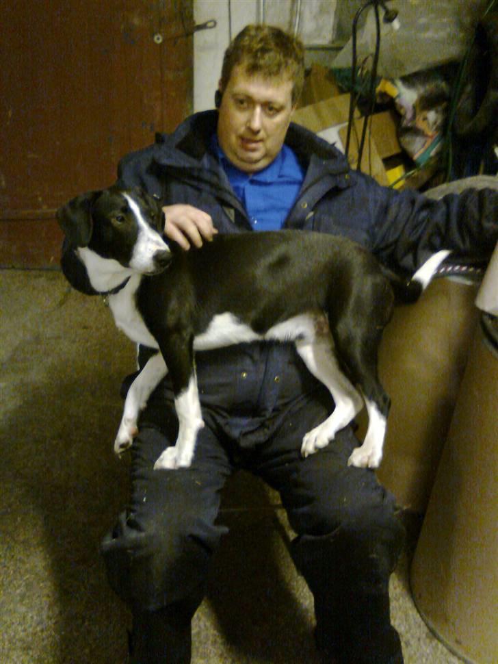 Blanding af racer Nero billede 6