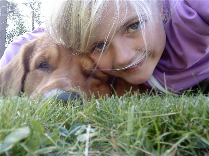 Golden retriever Kenzo <3 Mindrøm<3 - Os 2 <3 billede 11