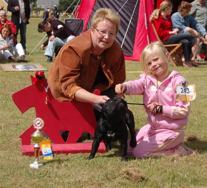 Fransk bulldog Lancome's Ælmira - simone og mira billede 4