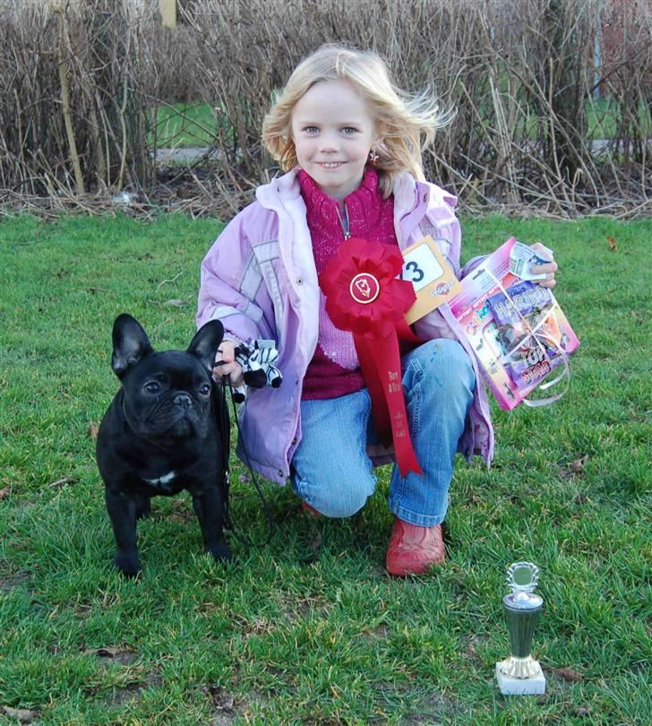 Fransk bulldog Lancome's Ælmira - simone og mira billede 5