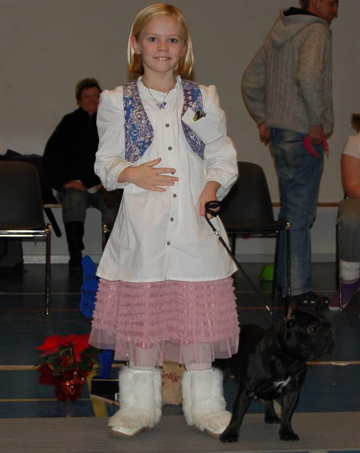 Fransk bulldog Lancome's Ælmira - Juleudstilling 2009 billede 8