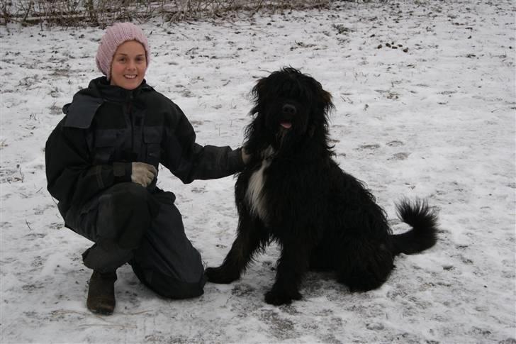 Blanding af racer Luffe billede 14