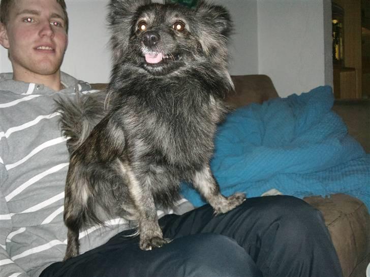 Blanding af racer chico billede 4