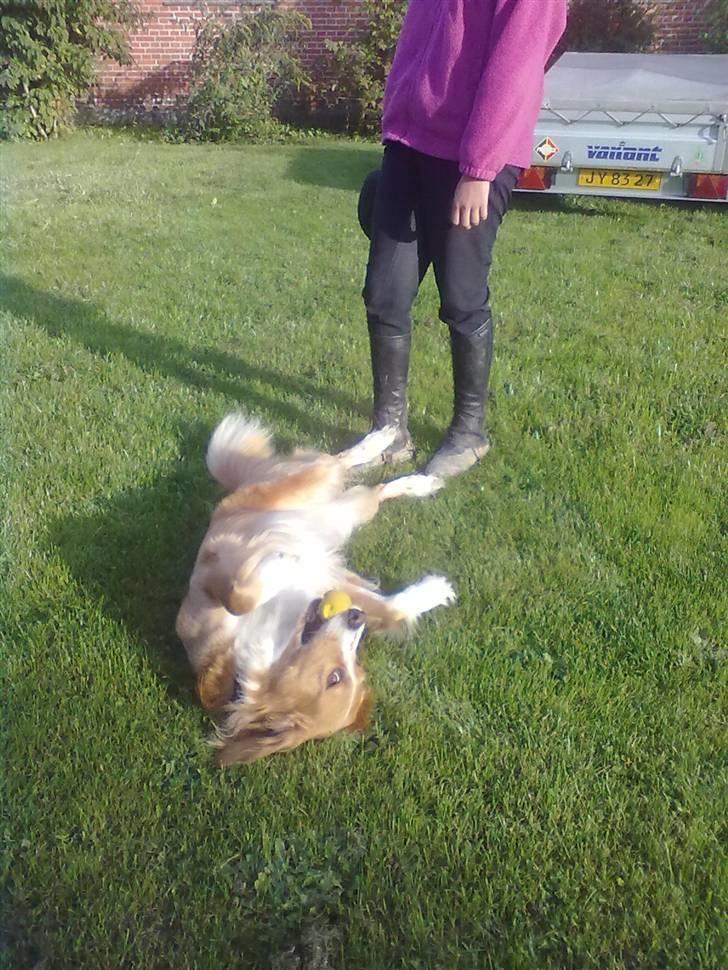 Blanding af racer Kvaser<3<3 - hjemme ved min bedste ven michelle billede 7