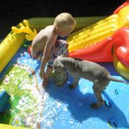 Blanding af racer Smeagol