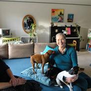 Dvaergpinscher Santos