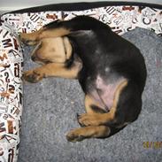 Blanding af racer Cooper