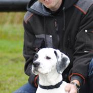 Blanding af racer Gaia