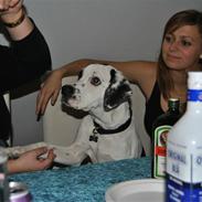 Blanding af racer Gaia